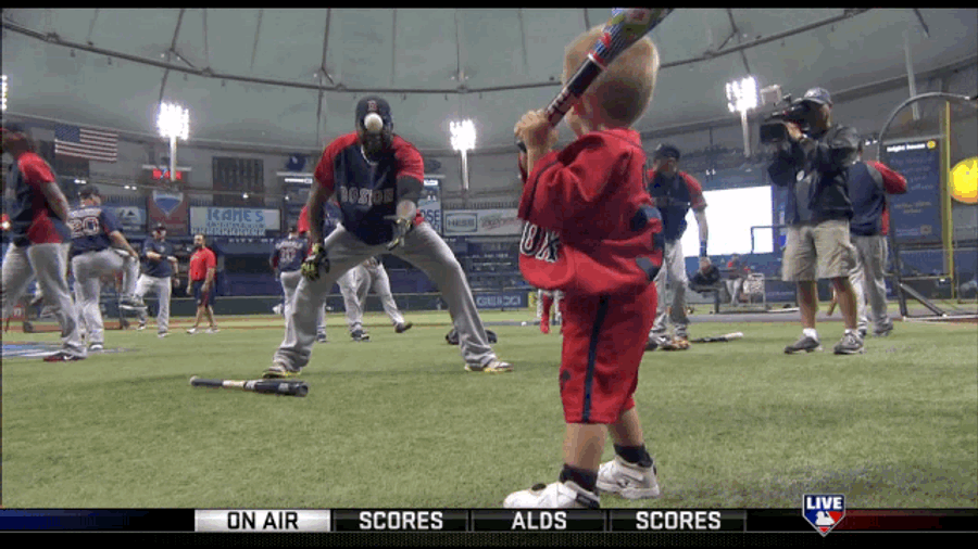 David Ortiz's Nephew Hit Him In The Dick With A Baseball