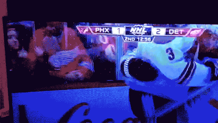 Young Red Wings Fan Flips Perfect Double Bird To Other Team After Goal