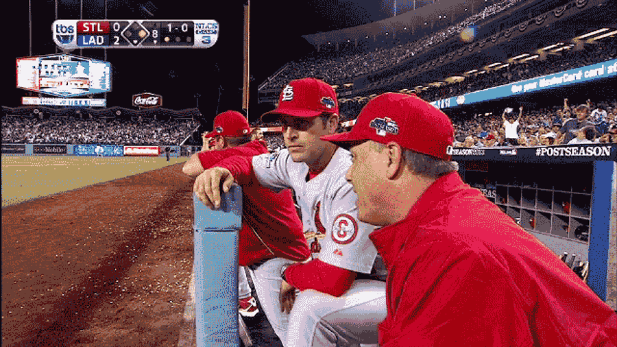 Yadier Molina Is Transfixed By The Dancing Bear