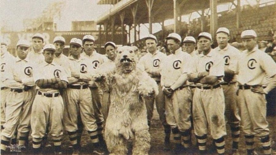 In 1908, The Chicago Cubs' Mascot Was A Terrifying Squirrelbeast