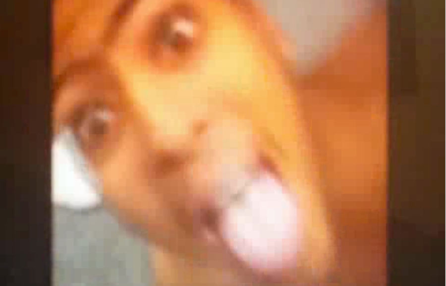 What Is This Bizarre Vine That Seems To Feature A Nude Anthony Davis