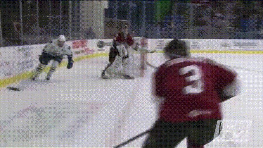 AHL Player Does A Barrel Roll