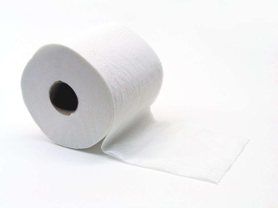 Do You Sit Or Stand To Wipe?