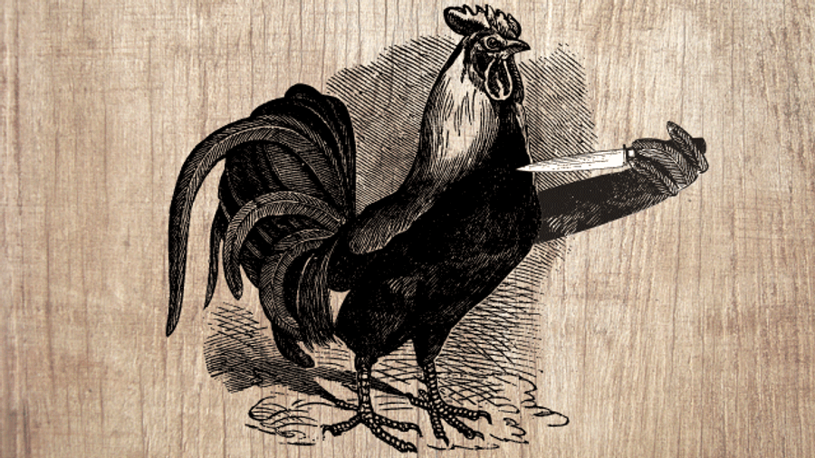 The 2013 Hater&#39;s Guide To The Williams-Sonoma Catalog