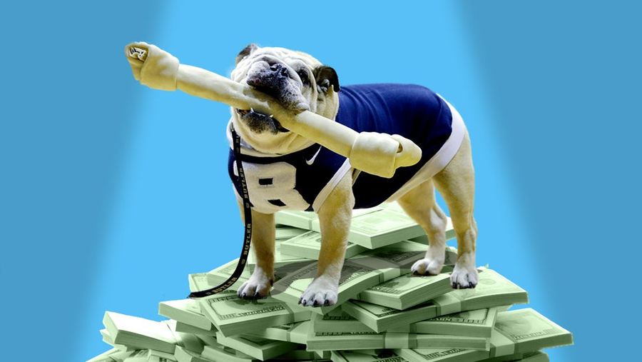 Study: Live Animal Mascots Are Worth Millions To College Football