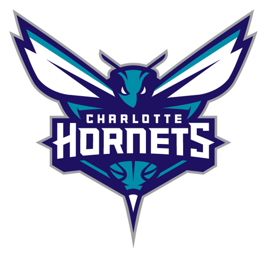 Look At The New Charlotte Hornets Logo