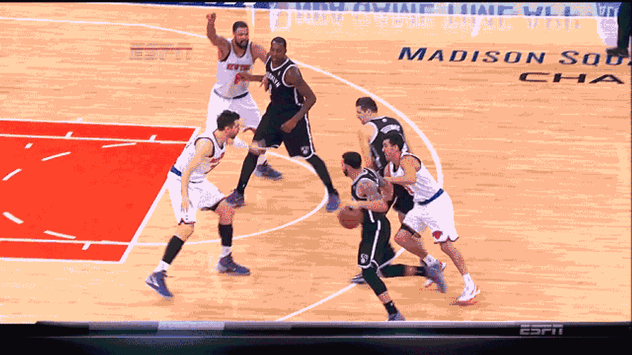 The 2013-2014 New York Knicks, Everyone