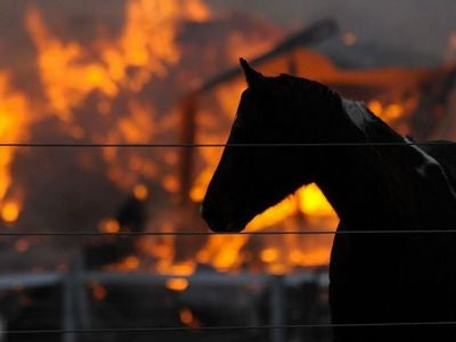 Barn Burning