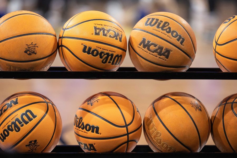 NCAA Basketball: South Dakota State at Wichita State