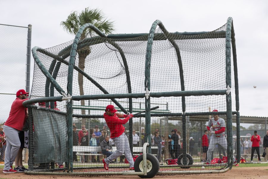 MLB: St. Louis Cardinals-Workouts