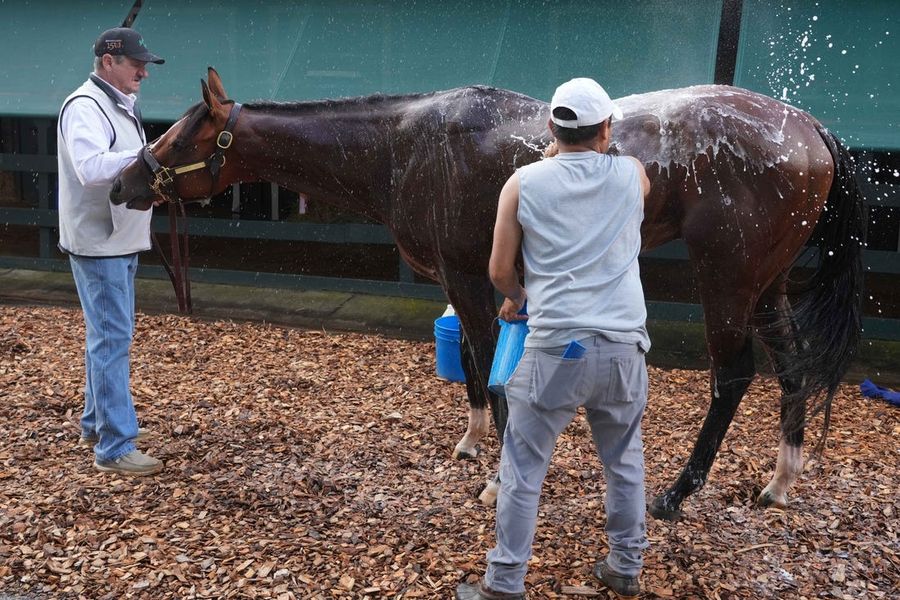Horse Racing: 149th Preakness-Workouts
