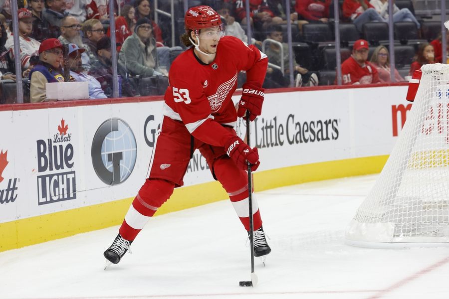 Puck-drop delay: Red Wings stall start due to Tigers' playoff game
