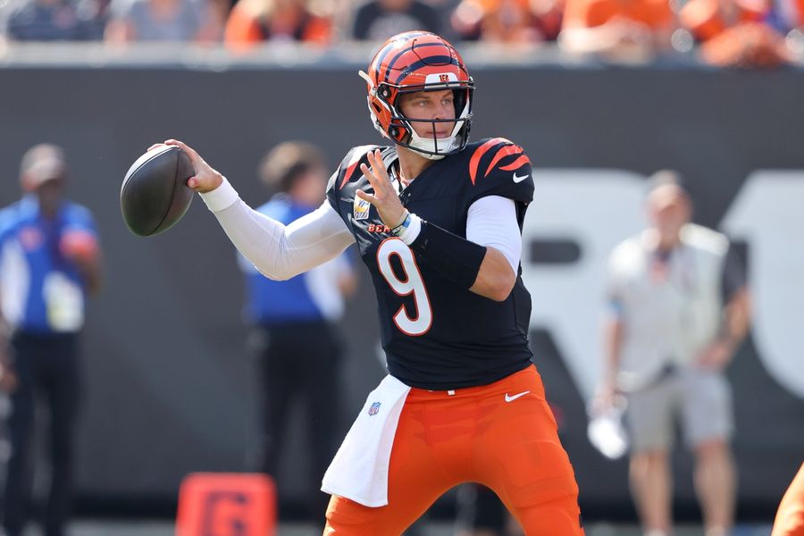 NFL: Baltimore Ravens at Cincinnati Bengals