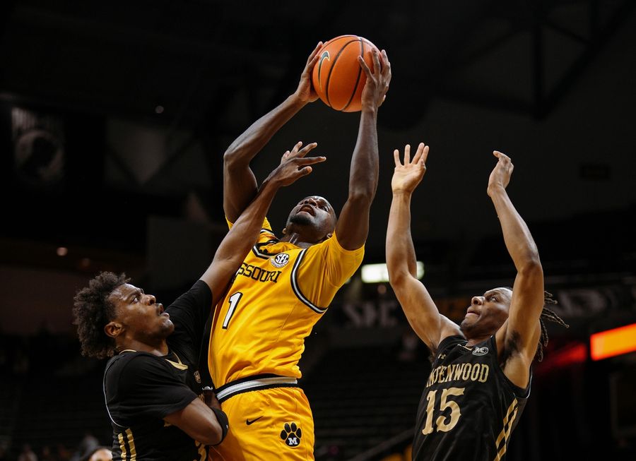 NCAA Basketball: Lindenwood at Missouri