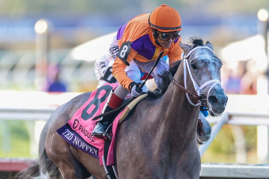 Horse Racing: 2025 Breeders Cup Championship