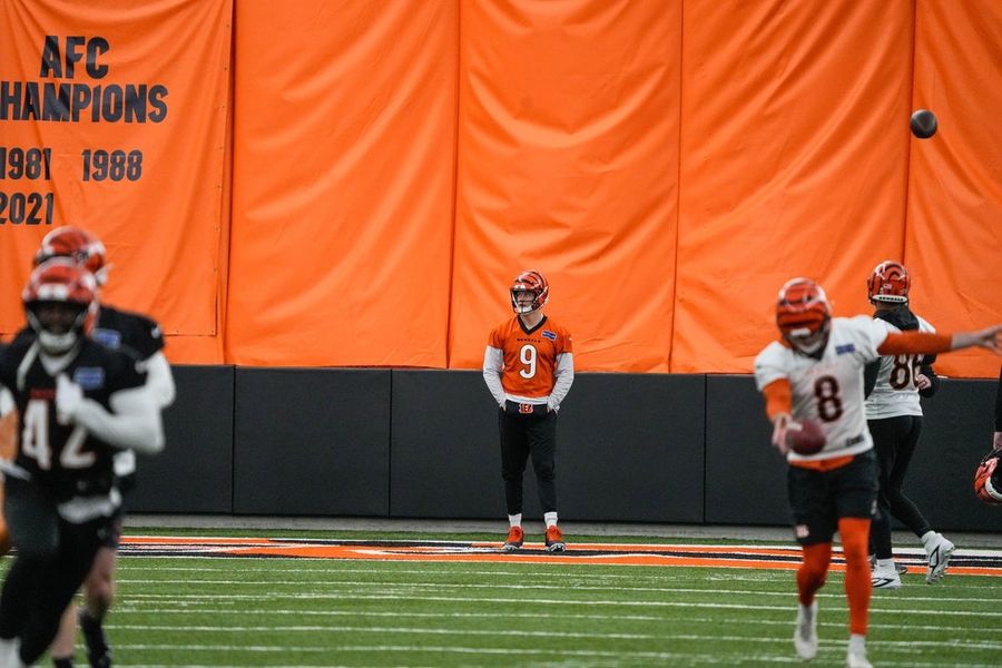 Zac Taylor ainda está avaliando a situação do quarterback dos Bengals, Joe Burrow.