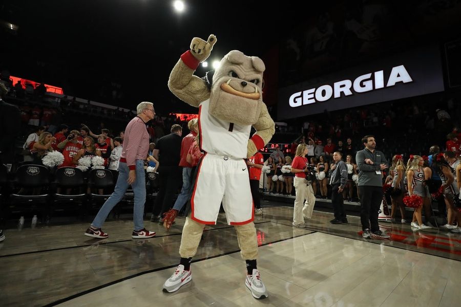 NCAA Basketball: Georgia Tech at Georgia