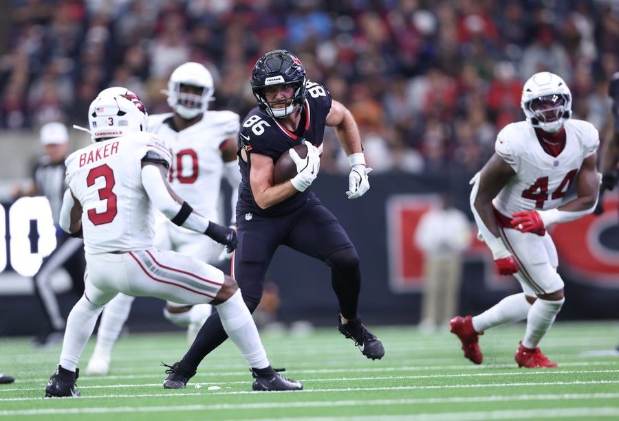NFL: Arizona Cardinals at Houston Texans