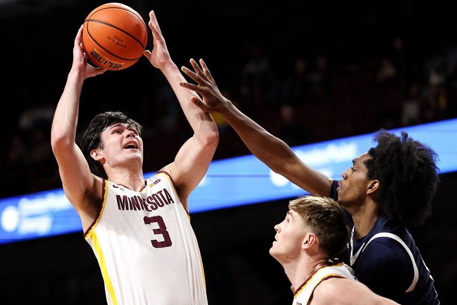 NCAA Basketball: Fairleigh Dickinson at Minnesota