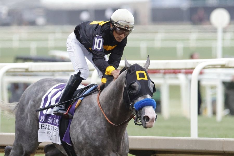 Horse Racing: 151st Preakness