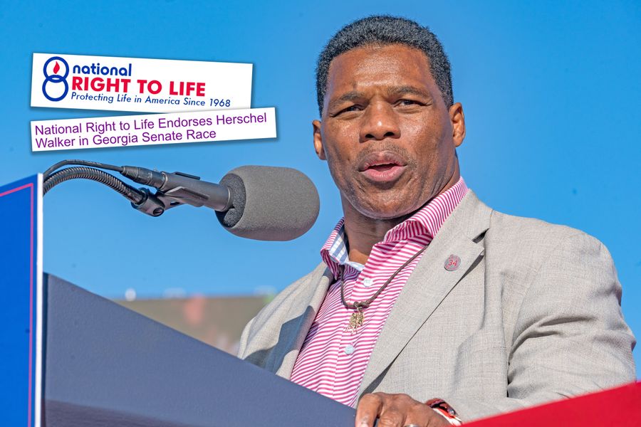 Men like Herschel Walker are coming for my rights and probably yours, too
