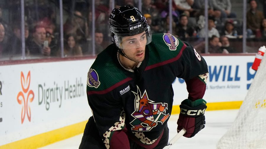 Where are the Arizona Coyotes going?