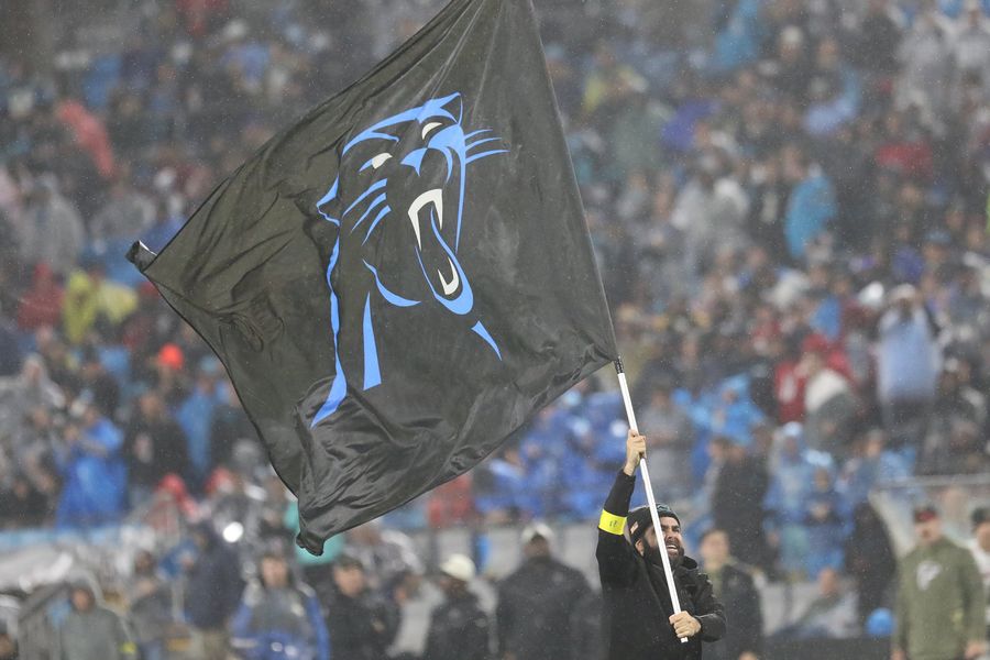For your own health, never play against the Carolina Panthers