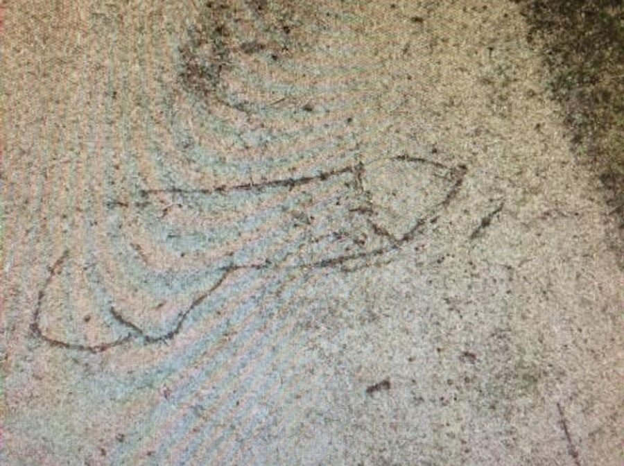 Australian Cricketer Suspended For Etching A Dick And Balls On Pitch