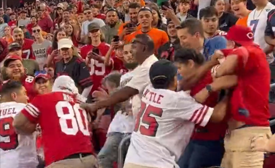 NFL fans are already in midseason form, brawling it out in the stands