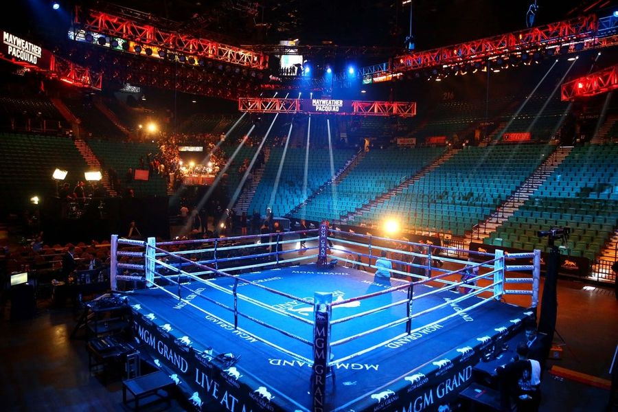 Boxer Hannah Rapp struck by car, killed