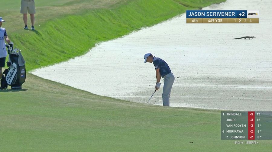 The gators are out at the PGA Championship!