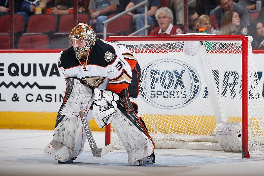 The Maple Leafs Got A Goalie