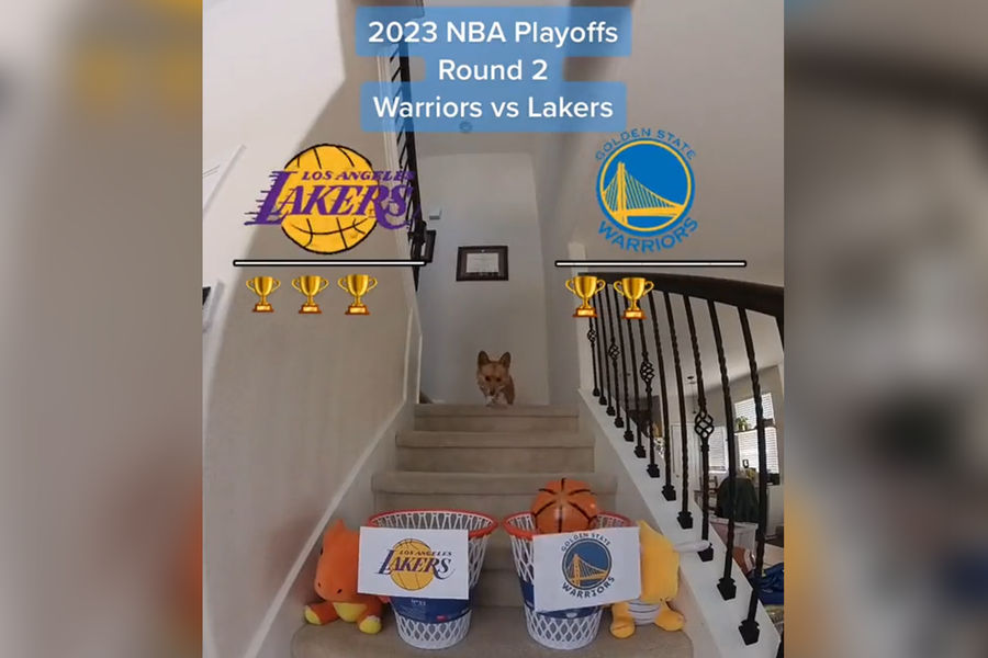 Will the Warriors-Lakers series be determined by a dog on social media?