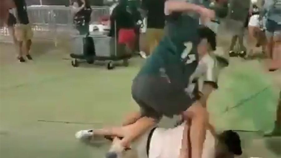 Absolutely Everything Happens, Including Dogs, In This Preseason Fight Between Eagles Fans