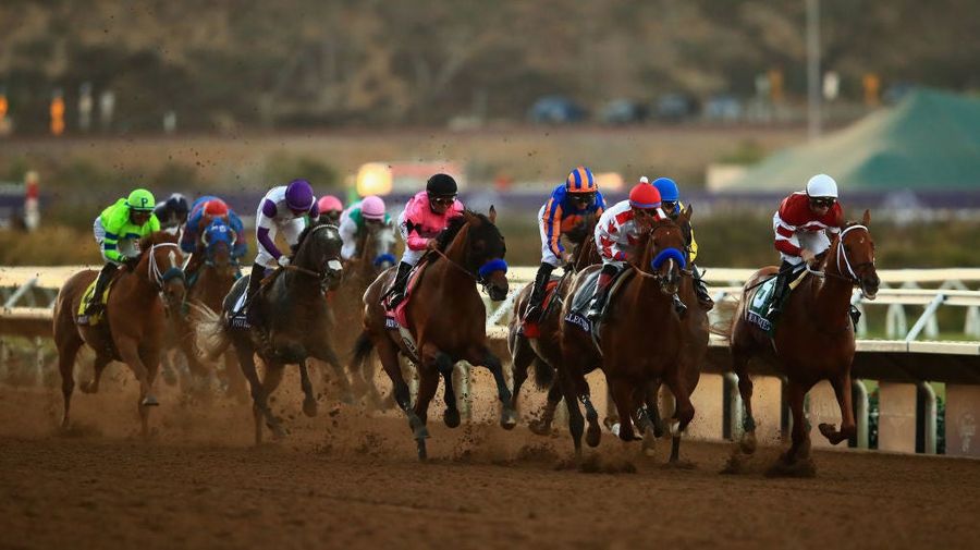 Massachusetts Accidentally Bans, Hastily Unbans Horse Racing In One Week