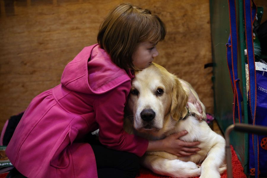 Dogs May Not Be Down With Hugs