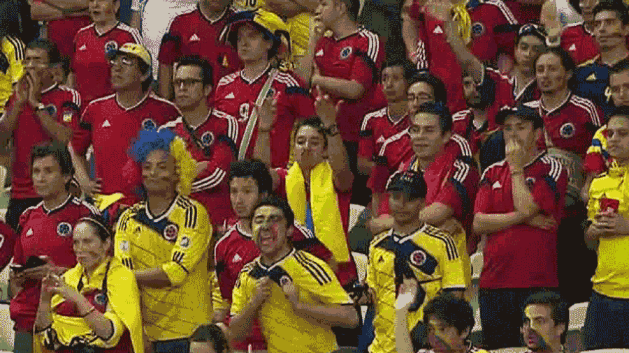 Colombian Supporter Unimpressed With Officiating