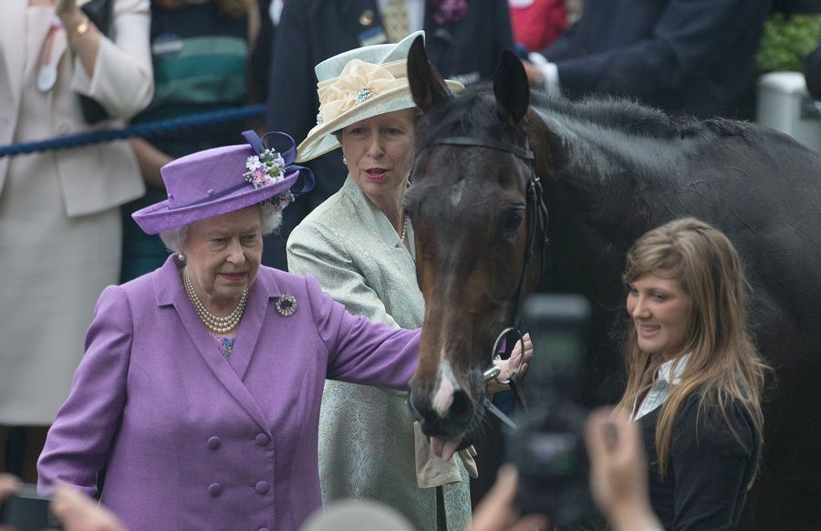 Queen Elizabeth&#39;s Racehorse Fails Drug Test