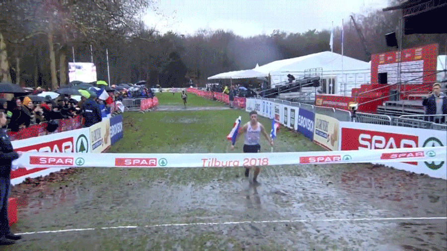 Cross Country Runner Faceplants Across Finish Line