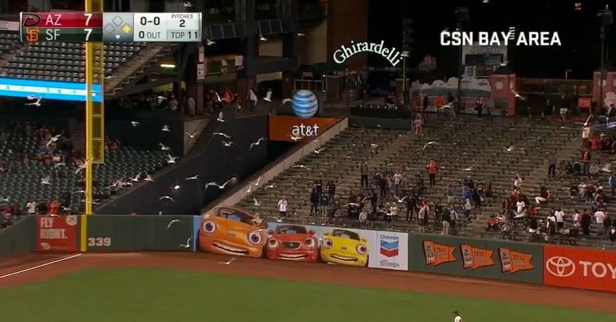 Giants Nearly Lose Stadium To Invading Seagull Force