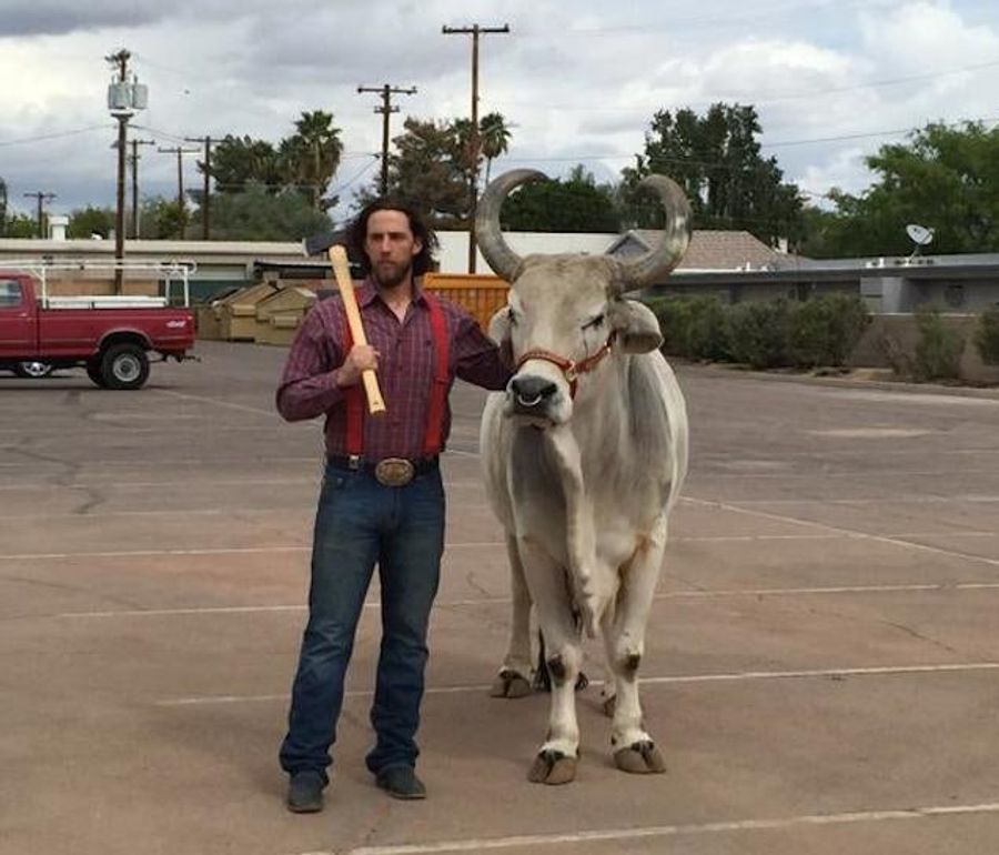 Madison Bumgarner Fulfills His Destiny