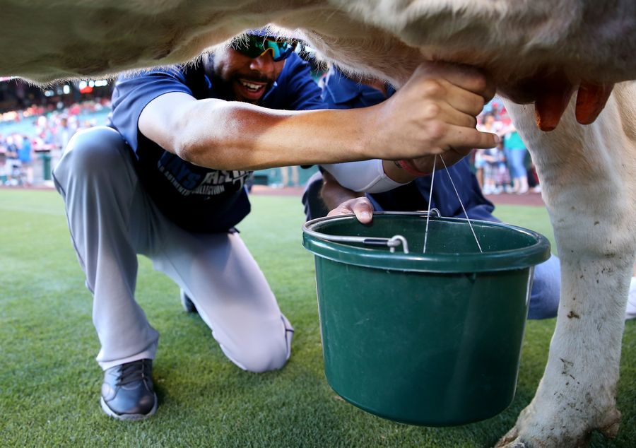 David Price Loses Cow-Milking Contest