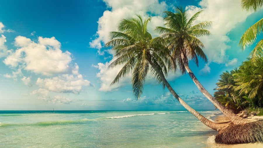 Deadspin Offers Island And One Million Dollars To First Blog To Unpublish Brand Propaganda