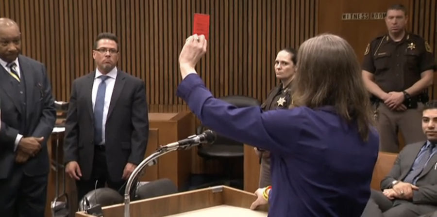 Man Whose Punch Killed Soccer Ref Sentenced To 8-15 Years In Prison