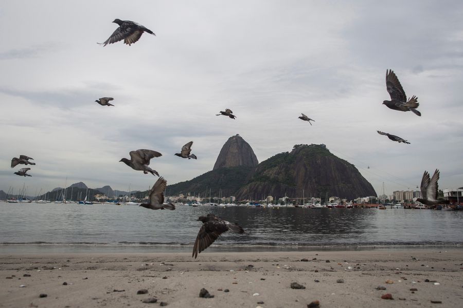 So, Uh, Rio's Doping Lab Just Got Shut Down