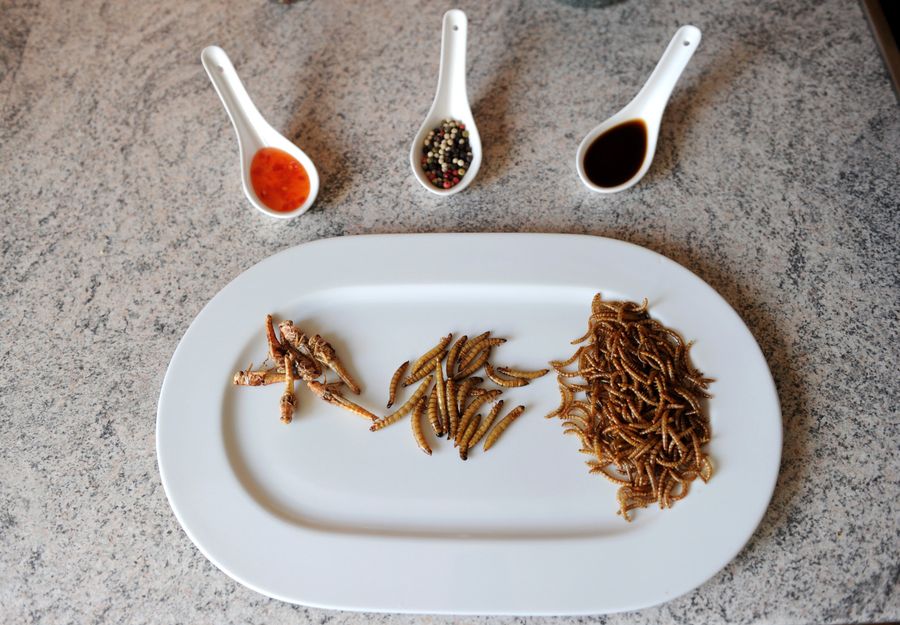 Is This How We&#39;ll Convince The World To Eat Bugs?