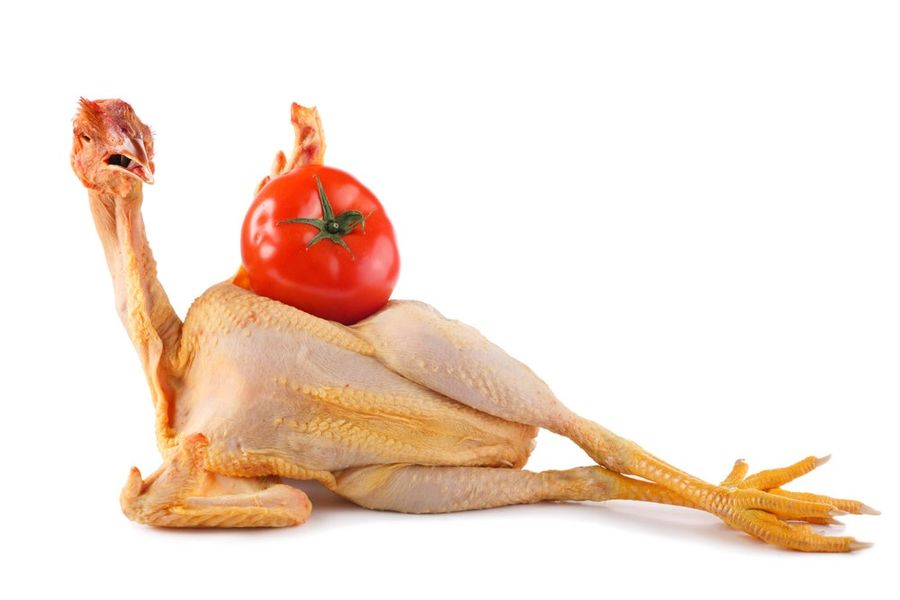 Some Questions We Have About &quot;Clothing-Optional&quot; Pop-Up Restaurants