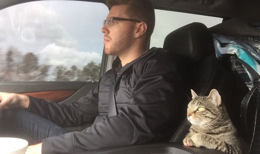 I'm Unsettled By Freddie Freeman's Cat