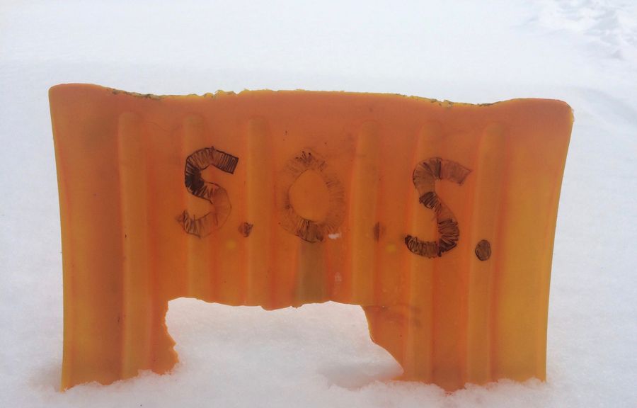 Do's And Don'ts Of Blizzard Survival, From A Snowed-In Dumbass