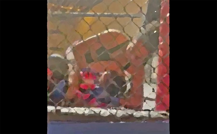 Grant Hill left in awe watching daughter Myla win her MMA debut